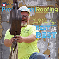 Professional Roofing
